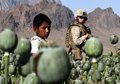 CIA Afganistan uyuşturucu kaçakçılığı devam