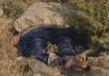 Woman found dead in Kabul