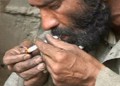 U.N. Finds Afghan Opium Trade Rising