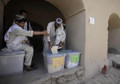 25 Afghan lawmakers accused of vote fruad