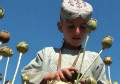 Afghanistan opium production up 43% - UN drugs watchdog