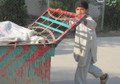 Nearly 1,900 children doing hard labour in Torkham
