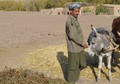 Hunger looms in aid-rich Afghanistan