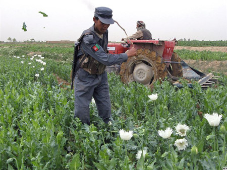 Police in Afghanistan allow drug smuggling