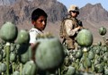 Only small-time Afghan drug dealers serve time