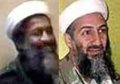Is Osama Bin Laden dead or alive?