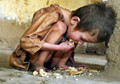 UN: 7.4 million Afghans are living with hunger and fear of starvation