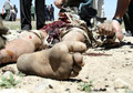 2010: Worst Year for Civilian Deaths of the Afghanistan War