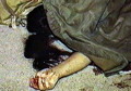 Eloped woman shot dead in Baghlan