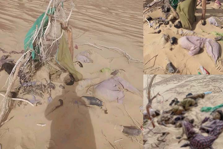 19 Afghans Killed